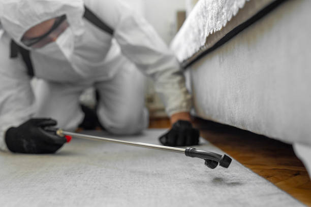 Professional Bed Bug Control technician working in Asbury Lake, FL