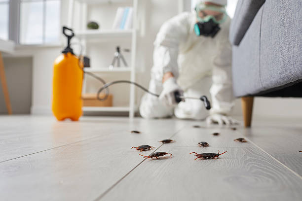 Trusted Fumigation Services service in Asbury Lake, FL - Nex Pest Control